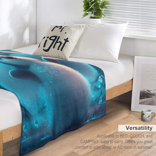 Couverture flannel moelleuse et chaude lavable en machine pour lit et canapé toutes saisons - 7
