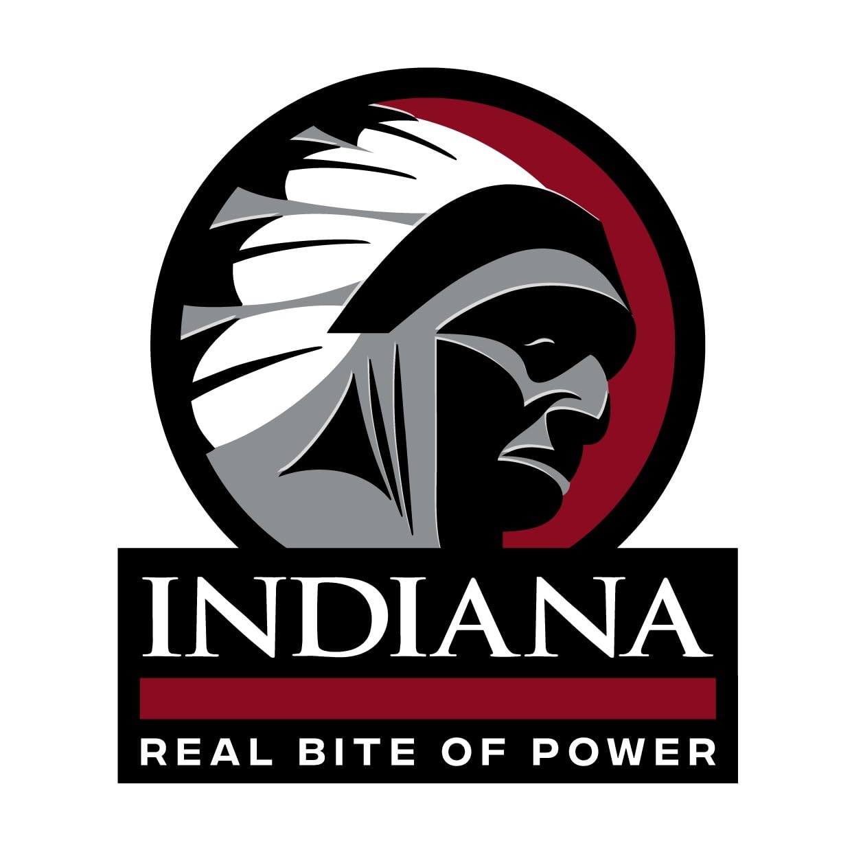 INDIANA BEEF JERKY Trockenfleisch, High Protein, ohne Zuckerzusatz (10 x 90g, Chicken Jerky)