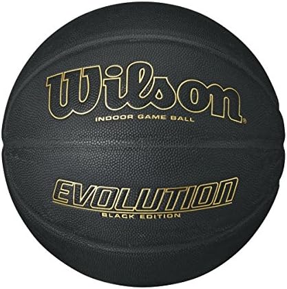 WILSON Evolution Game Basketball