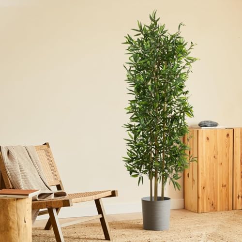 BLAINE Planta Artificial de Bambú Japones 180 cm Decoración de Interiores y Terrazas con Aspecto Hiperrealista Que No Necesita Mantenimiento