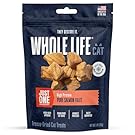 Whole Life Cat Just One Salmon Freeze Dried Cat Treats - Human Grade High Protein Food, Healthy Training Snacks, Freeze Dried Salmon Food Toppers, USA Made Natural Treats - 1 oz (Pack of 1)