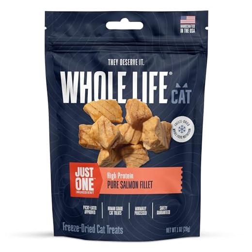 Whole Life Cat Just One Salmon Freeze Dried Cat Treats - 1 oz (Pack of 1)