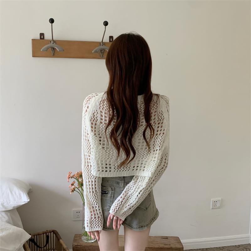 Image of ICW Women's Knitted Crochet Transparent Long-Sleeve Hollow Out Sheer Pullover Top T-Shirt Sweater Dn61 (One Size Fit XS-S-M-L)