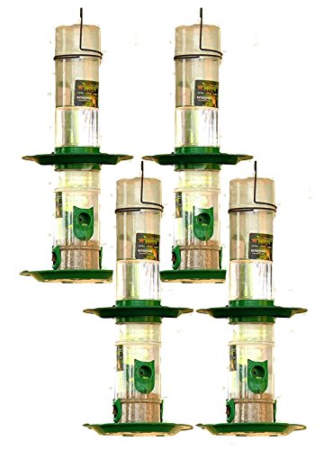 Amijivdaya Medium Double Decker (4 Piece) (B07FXST87H) Amazon Price History, Amazon Price Tracker