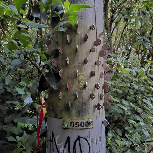 Episode 780: February 26, 2026