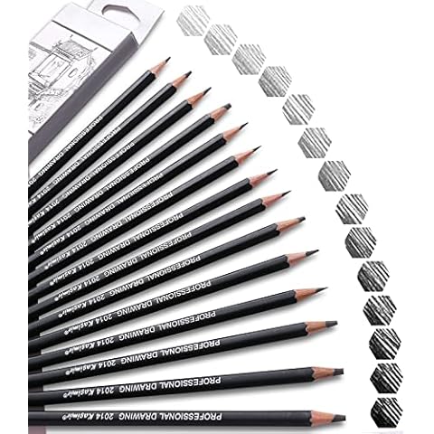 Drawing Pencils Sketching Pencils Set Professional for Artists Graphite Pencils HB 2H 4H 6H 1B 2B 3B 4B 5B 6B 7B 8B 10B 12B for Drawing Sketching Coloring Graffiti Art Child Adult Beginner 14PCS Cover