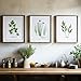 Kitchen Wall Decor Art Prints - Botanical Prints - (Set of 6) - Unframed - 8x10s | Flower Wall Décor | Kitchen Wall Décor | Vintage Wall Décor | Botanical Wall Art | Aesthetic Wall Décor