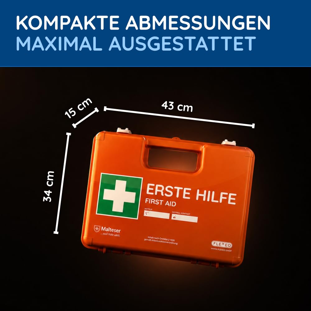FLEXEO ÖNORM Z1020 - Valigetta di pronto soccorso per l'Austria, con supporto da parete, adesivi, adesivi di prova e piombo, kit per medicazioni per aziende, aziende, ufficio e casa
