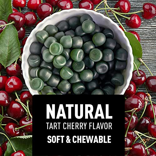 Organic Acv Raw Apple Cider Vinegar Gummies 500Mg And Ashwagandha Gummies Plus Vitamin D And Zinc #TOP5