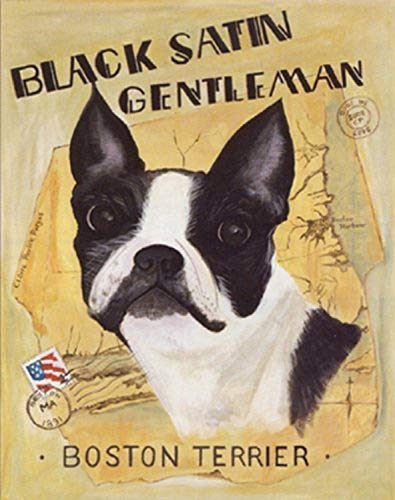 BUY ART FOR LESS Black Satin Gentleman by Claire Purgus 14 X 11 Poster