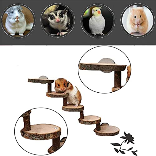 Scala per Criceti, Scala in Legno Naturale