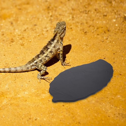 Plateforme escalade pour tortue surface prélasser petits reptiles - 6