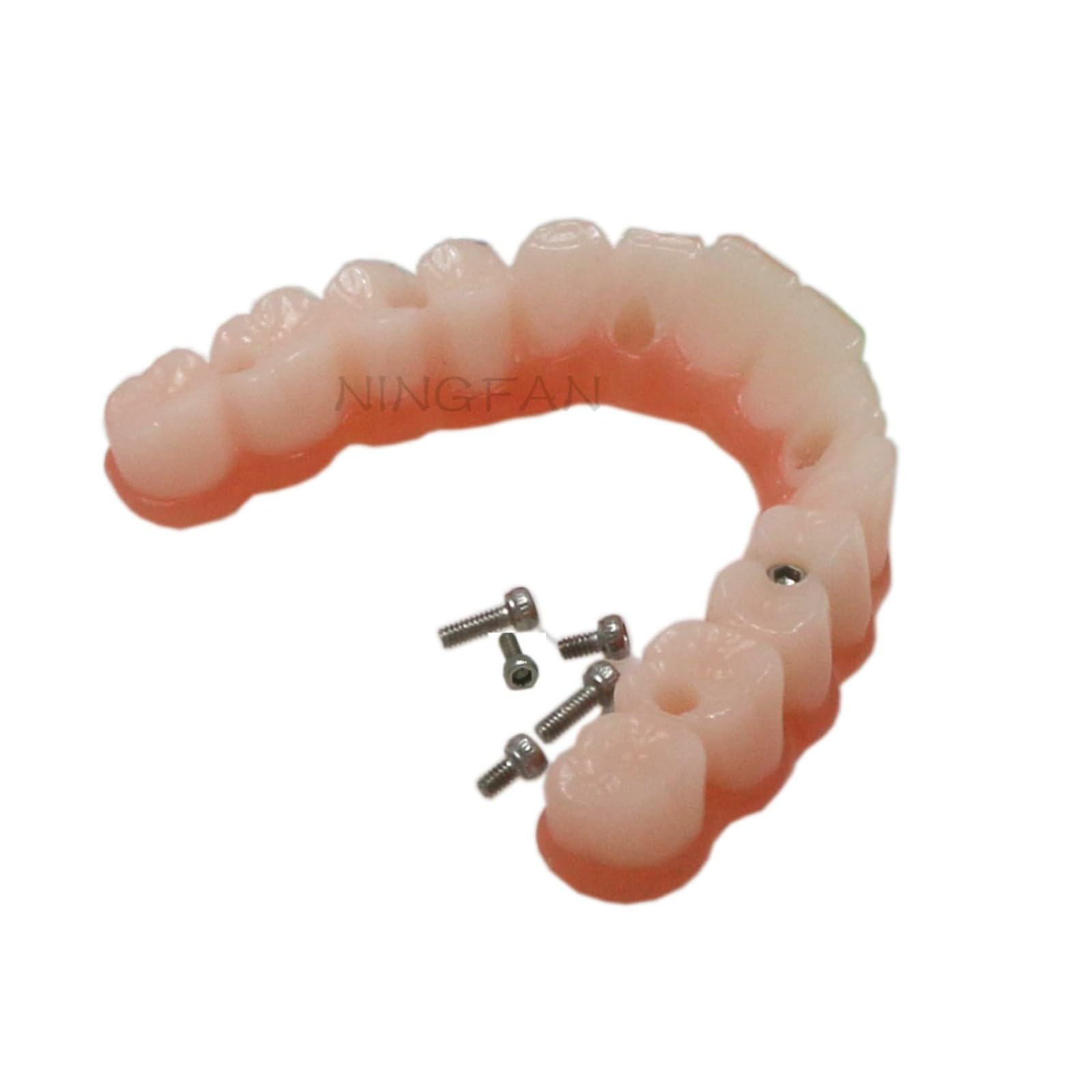 Modelo de implante dental de doble arco. Sistema de entrenamiento de sobredentadura All-On-6 y All-On-4. Bases transparentes para maxilar y mandíbula