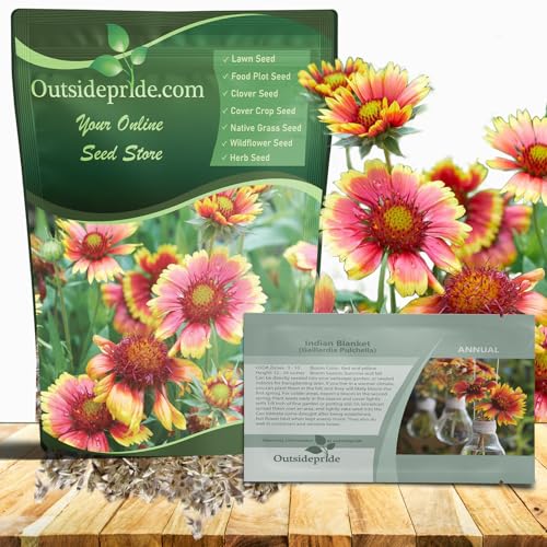 Outsidepride Gaillardia Pulchella Red Indian Blanket Seeds for Planting - 5000 Pcs Annual Flower Seeds, Heat & Drought Tolerant for Xeriscaping, Borders, & Small Garden Spaces