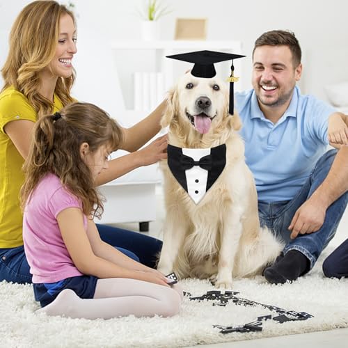 Disfraz para perro con gorra y collar de graduación miniatura 5