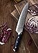 FANTECK Chef Knife 8 Inch Japanese Damascus Kitchen Knife, VG10 Super Steel 67 Layer High Carbon Professional Kitchen Chef Knives,Full Tang Ergonomic G10 Handle-with Sheath & Sharpener