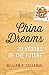China Dreams: 20 Visions of the Future