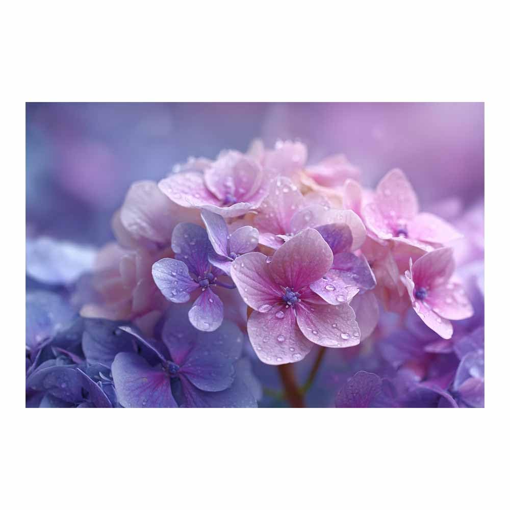 ZAMAEIU Nature Landscape Canvas Wall Art Hydrangea Clusters posters picture, Modern Wall Decor, for Bedroom, Office, Living Room, Corridor, classroom(Purple;)-30x50cm Unframed