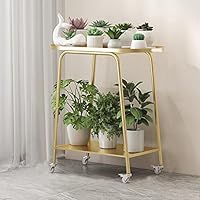 花台 10 Amazon | APRTAT フラワースタンド 室内 4段 ガーデンラック