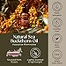 Gya Labs Organic Sea Buckthorn Oil - 100% Pure Natural Sea Buckthorn Carrier Oil for Skin, Face, Nails & Hair - Soothing & Moisturizing (1.69 Fl Oz)