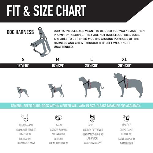 Wolfgang Heavy Duty Adjustable Dog Harness, Pull-Tested to Over 800 lbs for Walking & Training, DawnPatrol Print, Small by Wolfgang Man & Beast - Image 4