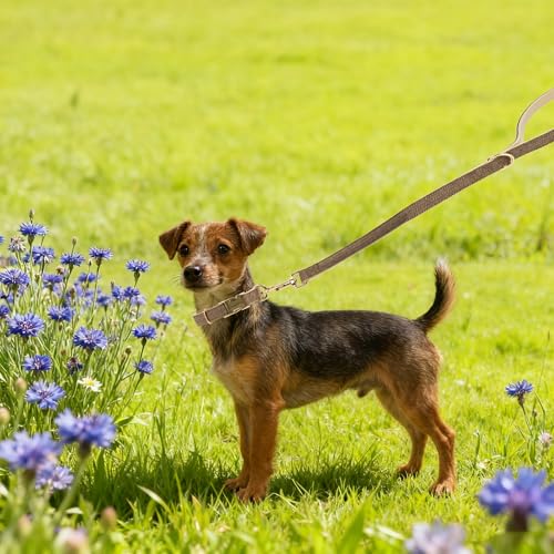 YUDOTE Hundehalsband und Leine Set Klein, Weiche Reizfreie natürlicher Baumwolle mit Twillgewebe für Hund mit empfindlicher Haut, Graubraun