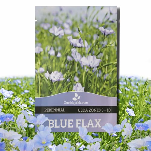 Outsidepride Blue Flax Seeds - 5000 Pcs Perennial Flower Seeds for Planting, Self-Seeding...