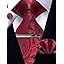 Red and Black Paisley Tie Set