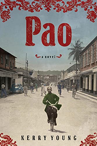 Pao: A Novel view 2