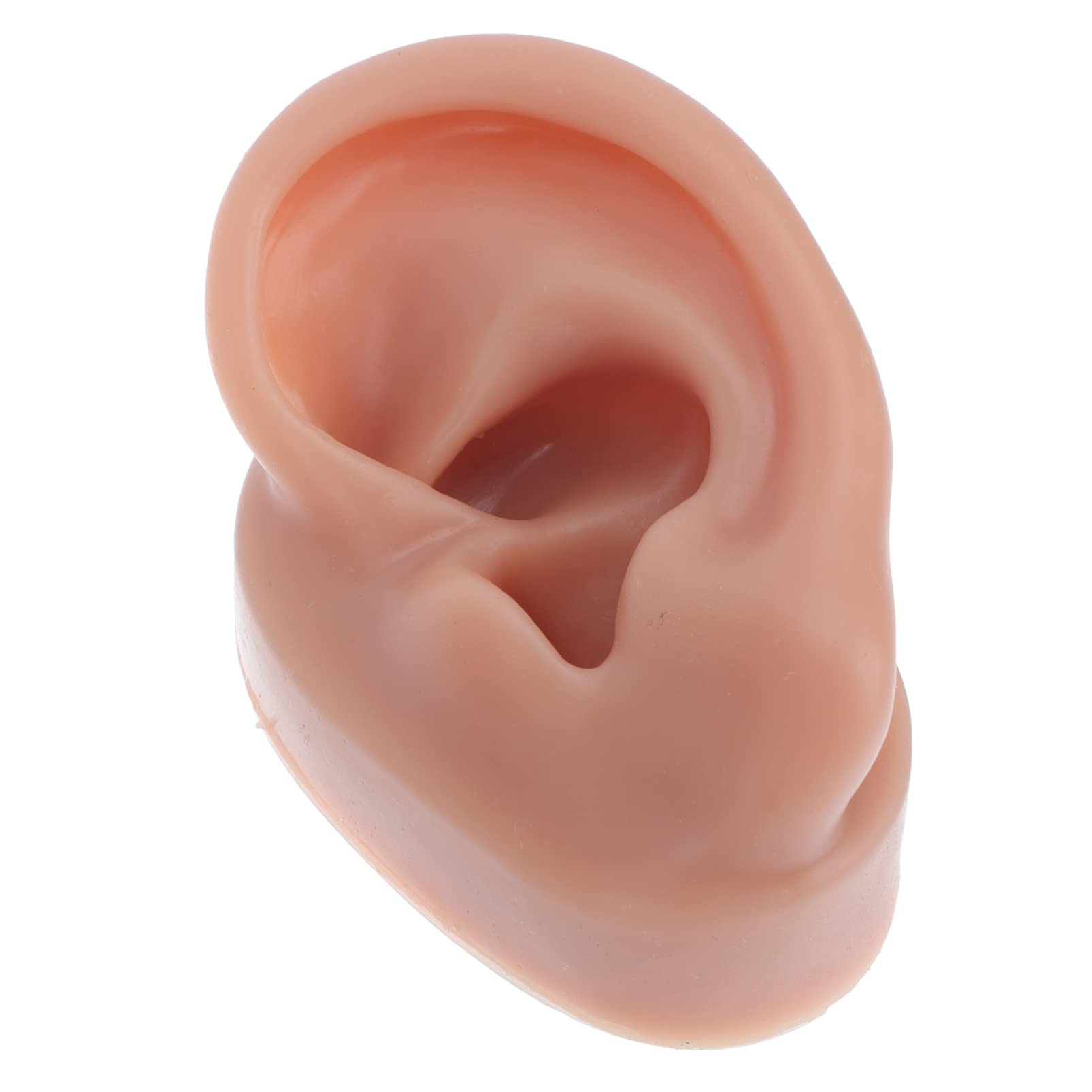 Buy Silicone Ear Model Display Body Parts Acupuncture Human Ear Model