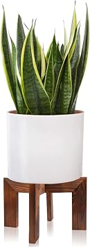 Gendral Forwepup Wood Plant Stand, Mid Century Modern Planter, Rattan Flower Pot Stand, Low Short Plant Stands for Indoor - Boho Rustic Wooden Stool for Plant Pot Holder, Fit 5-15 Inch Pot
