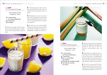 Paperback 100 recettes de yaourts et crèmes maison (COOKING TIME) [French] Book