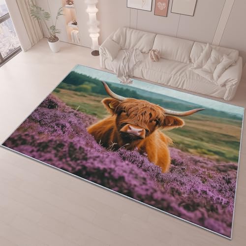 Tapis Bruyère De Bovins Midland Entretien Facile Intérieur Moquette 90x150 cm Paillasson Intérieur Facile à Nettoyer, Chambre, Cuisine, Salon, Anti-Peluche...