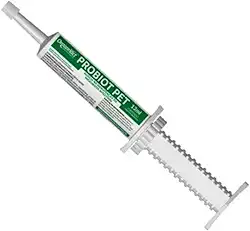 Suplemento Probiot Pet Probiótico 1 Seringa 13ml - Organnact