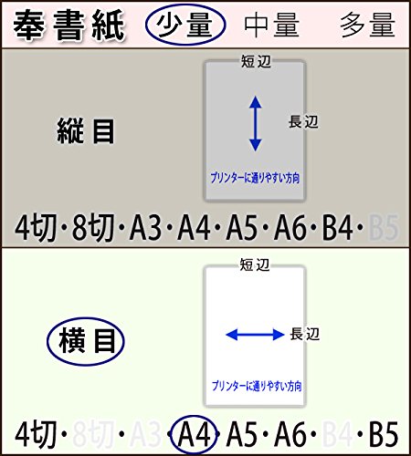 v^[p򏑎()A4ځ60(100)