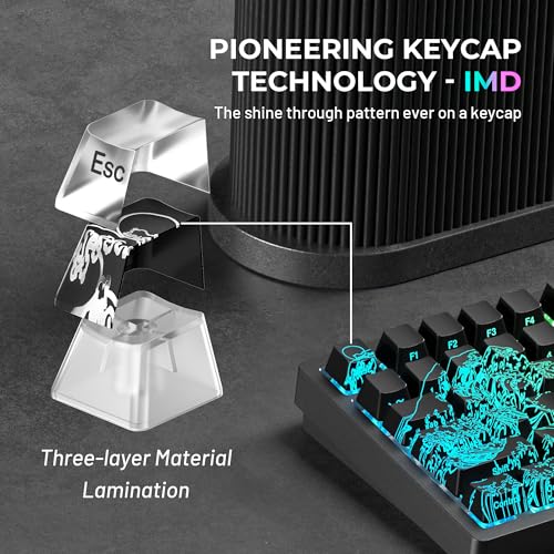 Image of HITIME x XVX Kanagawa Keycaps 60 75 100 Percent - Shine Through Keycaps w /IMD Tech, for Mechanical Keyboards, Full 118 Key Set, OEM Profile, Lines Backlit, Side Printed - Black