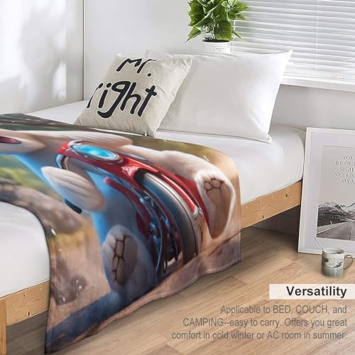 Couverture polaire flannel ours plaid peluche chaud lavable machine - 7