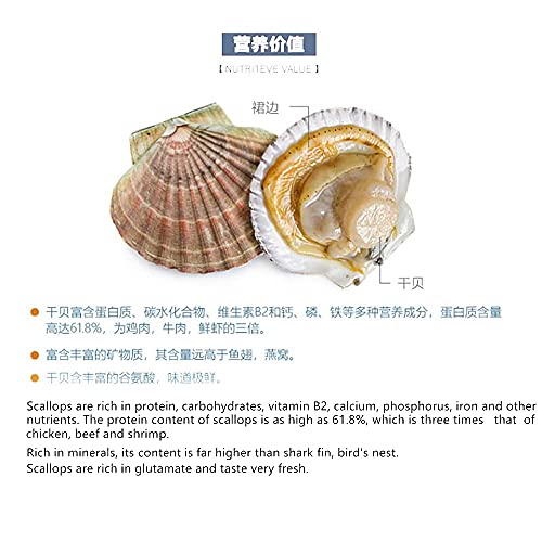 Bestliving Scallop Dried Japanese Scallops にっぽん日本のほし干しもと元かい貝 Nippon No Hoshi Moto Kai 日本元贝 干元贝 日本瑶柱(Sa) 8Oz // 1 Box Order Packages By Mail From Usa thumb #3