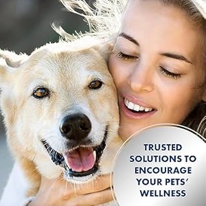   PetSilver-Teeth-Gum-Water-Additive-Dental-Care-for-Pets-with-Patented-Chelated-Silver-Natural-Dog-Breath-Freshener-Targets-Tartar-Plaque-No-Brushing-Cat-and-Dog-Teeth-Cleaning-12-fl-oz