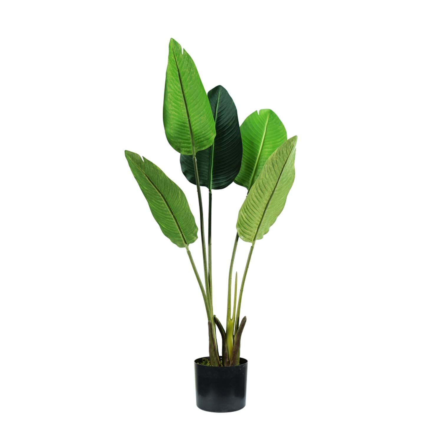 Wintem Strelitzia Artificial Plant with 5 Leaves, 100 cm, Vase with Natural Moss, Perfect for Indoor Environments