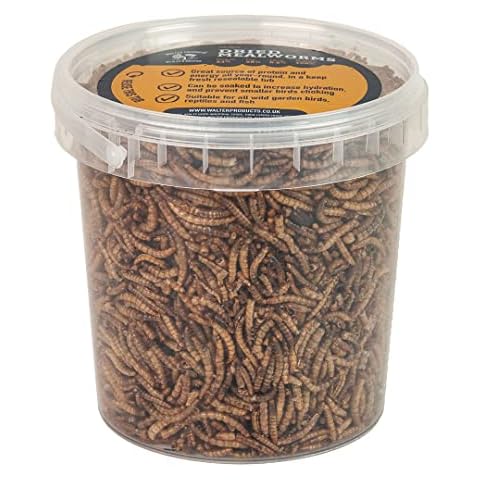 Walter’s Dried Mealworms for Birds - 1L Tub Cover