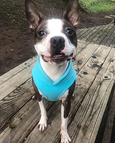 Image of Gooby Fleece Vest Dog Sweater, Turquoise, X-Small | Soft warm fleece; Pullover, easy on /off (no zippers); O-ring leash attachment; Machine washable