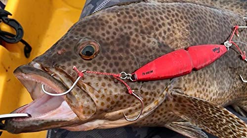 Amazon.co.jp: FMB JAPAN ZEN 禅 60g 赤イカグロー : スポーツ＆アウトドア