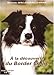 Produktbild À la découverte du border collie