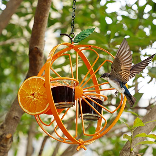 Forup Oriole Bird Feeder For Outdoors Jelly And Oranges, Orange Fruit Oriole Jelly Bird Feeder, Outdoor Garden Metal Hanging Drinking Grape Jelly Container Hummingbird Feeder #TOP4