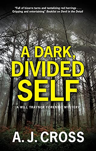 A Dark, Divided Self view 2