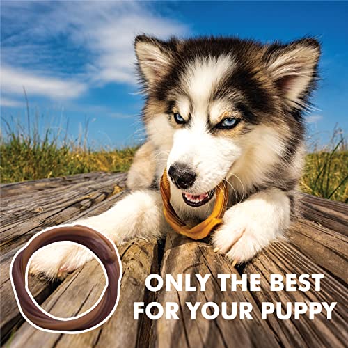 N-Bone-Puppy-Teething-Rings-6-Count-Bag-Variety-Pack-Chicken-Pumpkin-Blueberry-BBQ-Flavor-Total-3-Bags-216-oz-18-Rings N Bone Puppy Teething Rings 6 Count Bag Variety Pack Chicken Pumpkin Blueberry BBQ Flavor Total 3 Bags 216 oz 18 Rings