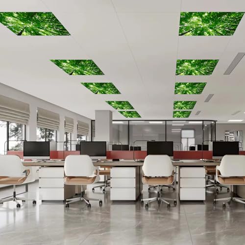 Image of 8 Pcs Fluorescent Light Covers with 80 Magnets Decorative for Classroom Ceiling Light 4 x 2 Feet Magnetic Light Covers Filter Easy Install for Office Hospitals & Home Drop Ceiling Supplies