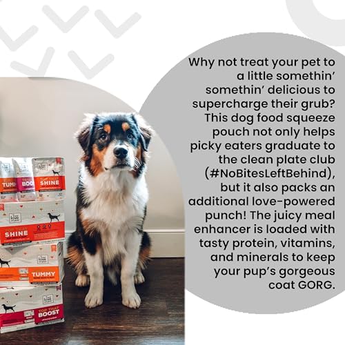 Image of inchI and love and you inch Top That Tummy Wet Dog Food Pouch, Chicken Recipe In Gravy, 3 oz (Pack of 12)