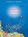 Produktbild Das blaue Herz des Planeten: Die Geschichte einer Meeresforscherin: Sylvia Earle